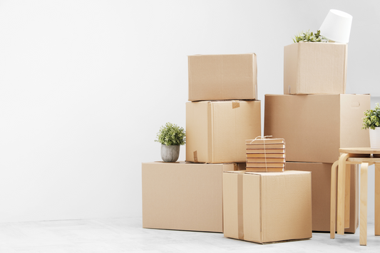 Mit Zimmerpflanzen umziehen 🪴📦