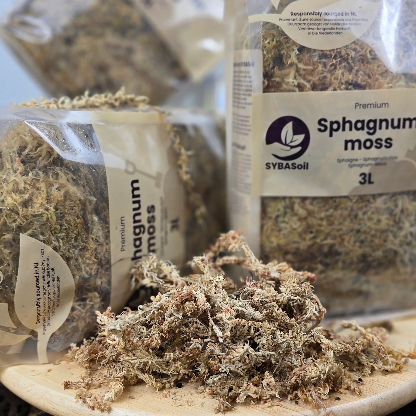 Sphagnum Moos