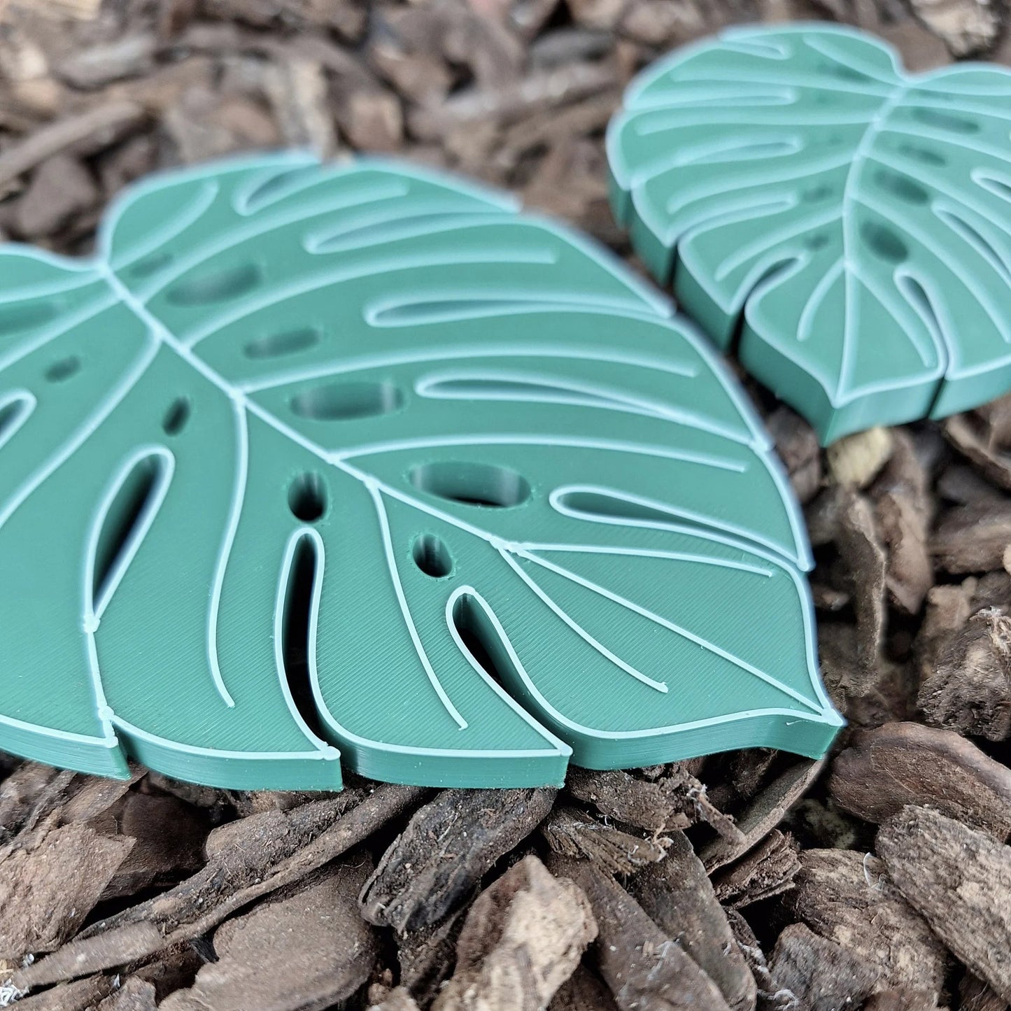 Monstera - Magnet-Set