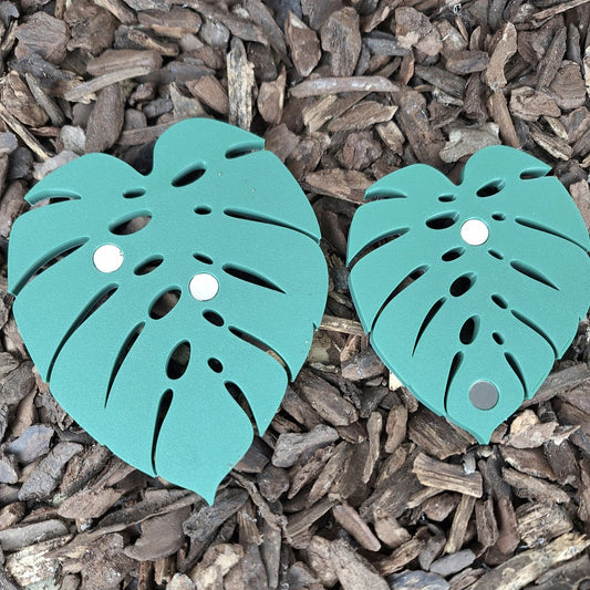 Monstera - Magnet-Set
