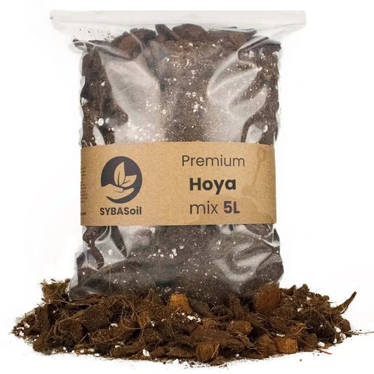 Hoya Mix