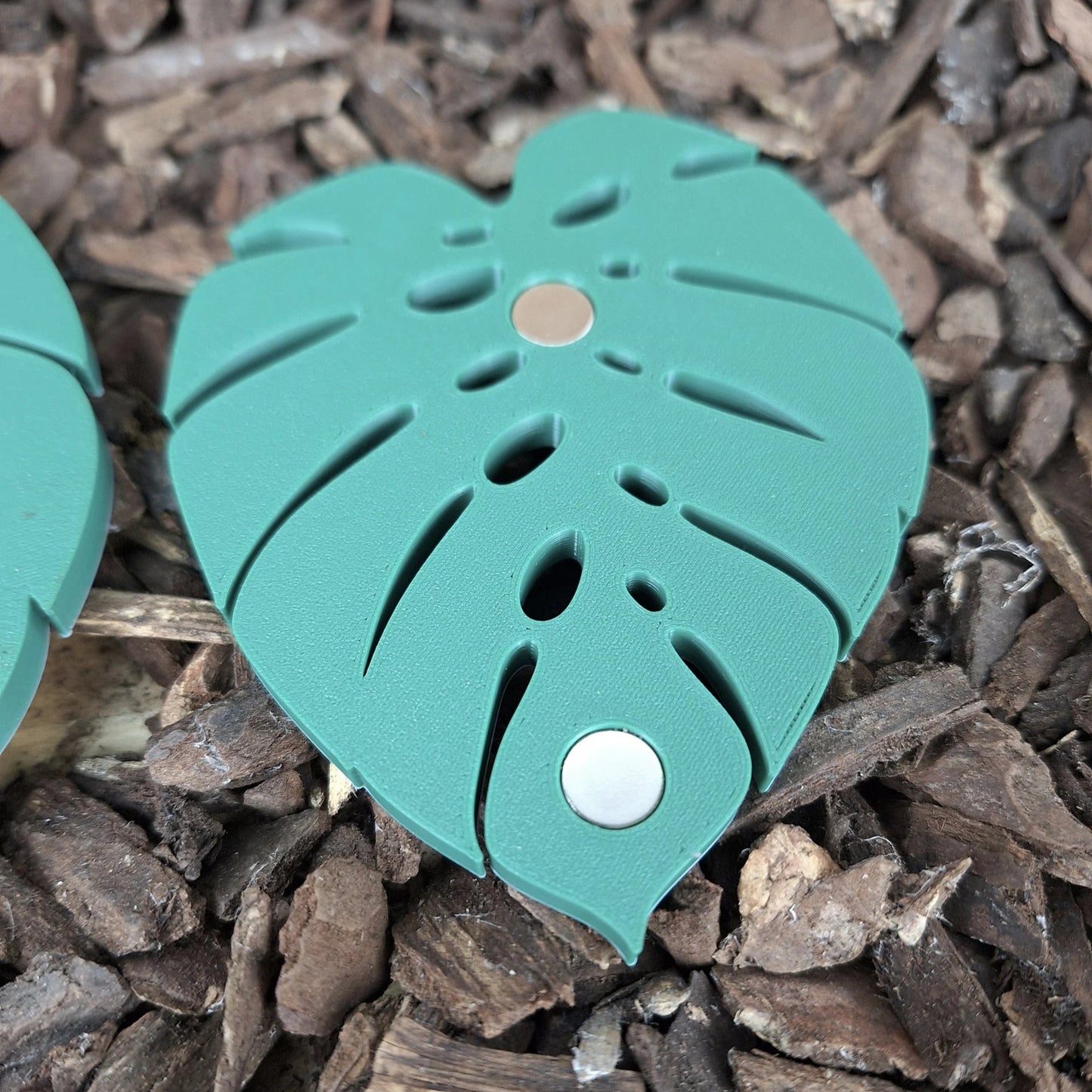Monstera - Magnet-Set