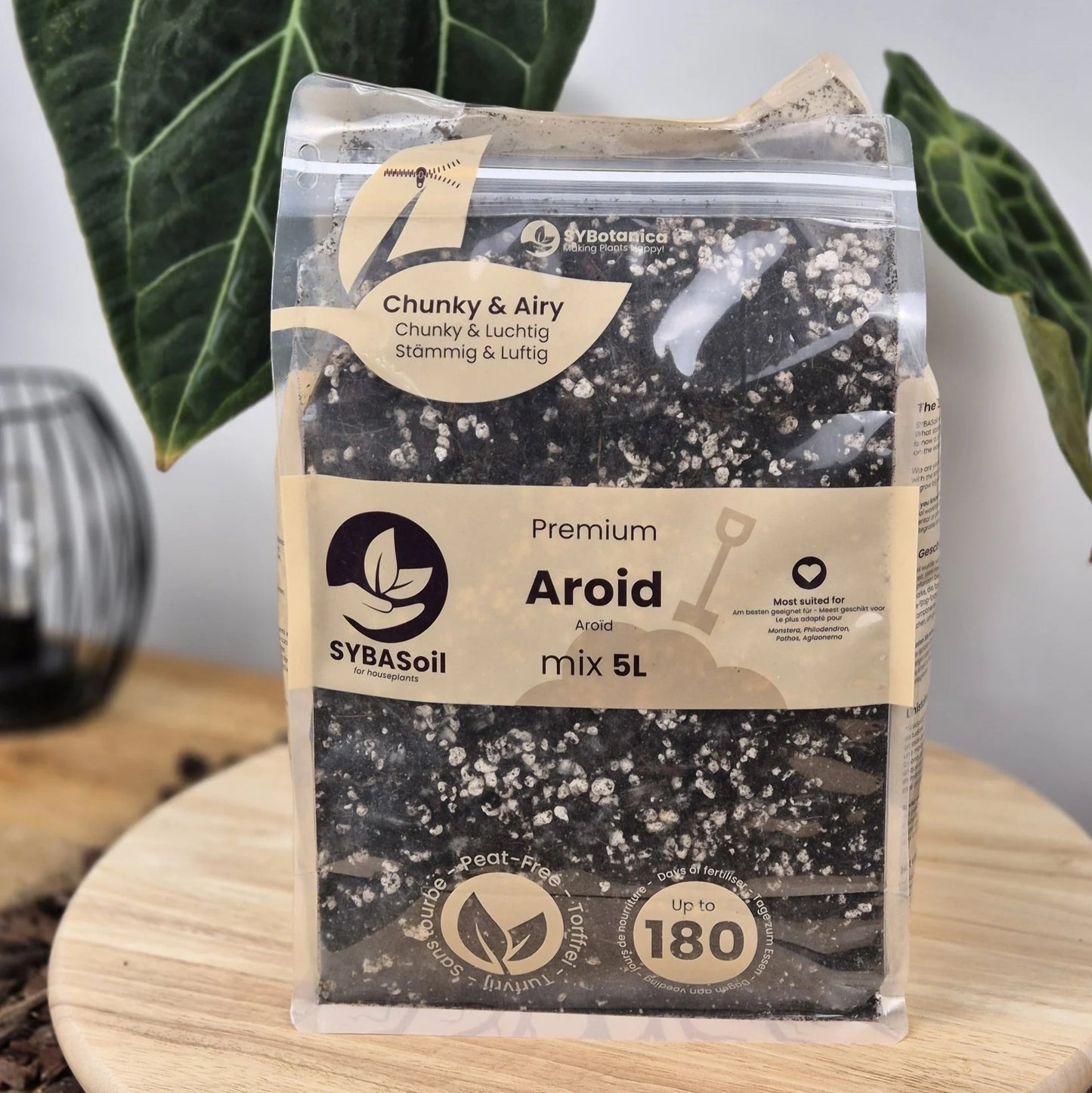 Aroid Mix