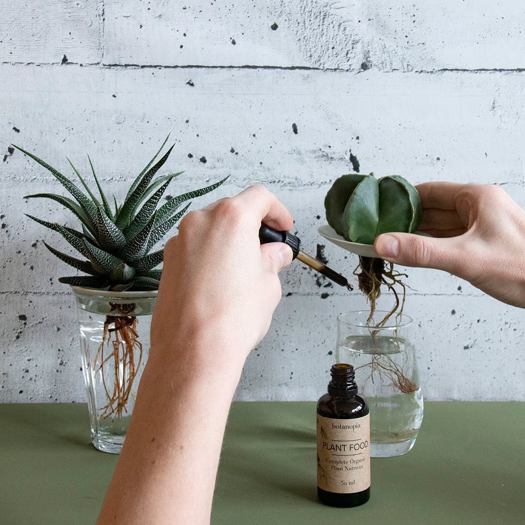 Botanopia Plant Food