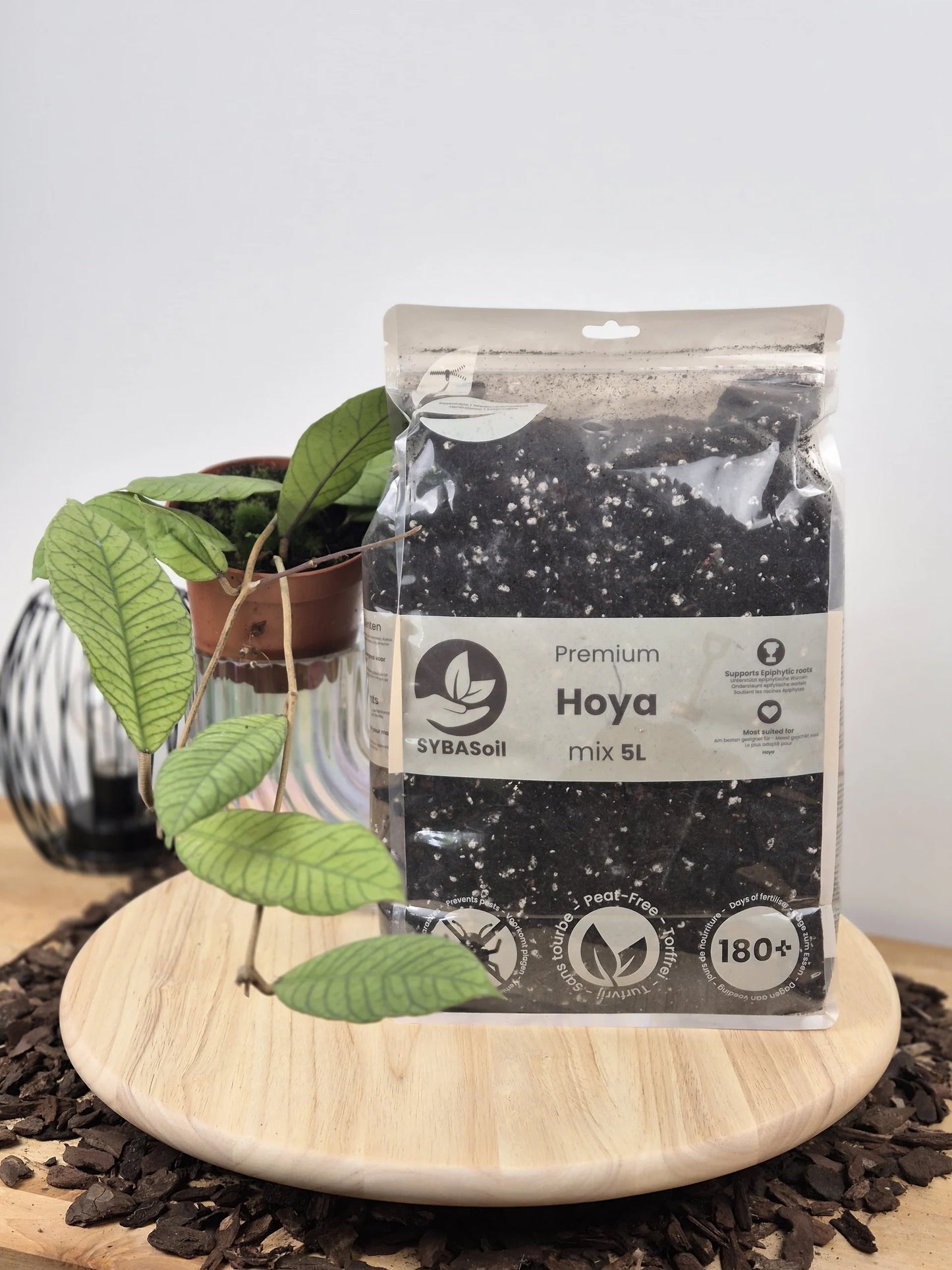 Hoya Mix