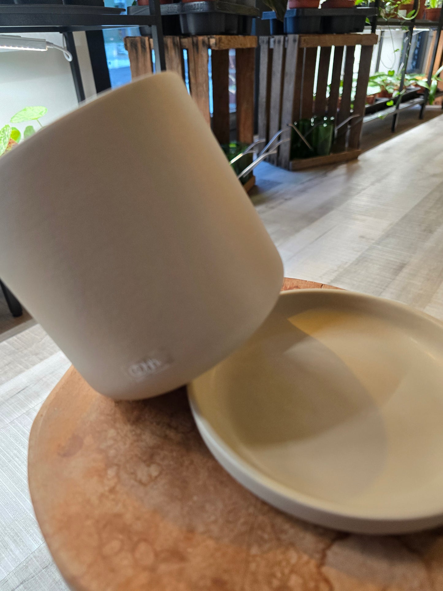 Anna Pot with Saucer - Oohh Ceramic Collection
