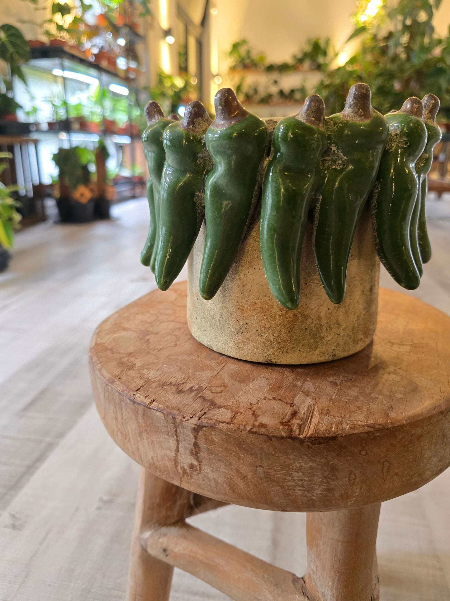 Übertopf Green Pepper