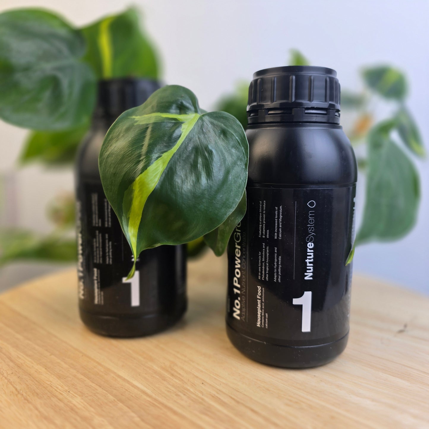 NurtureSystem No. 1 - PowerGrow Fertilizer