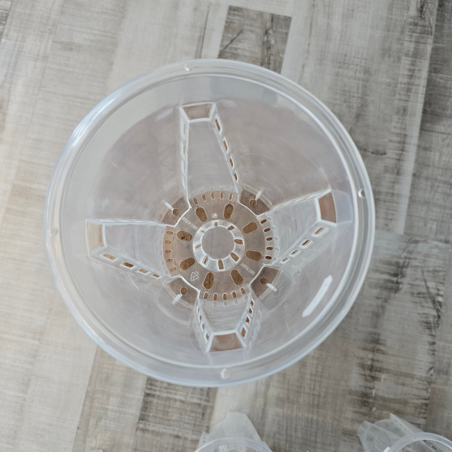 Pflanztopf rund & transparent