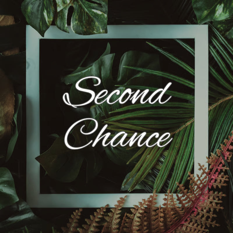Second Chance