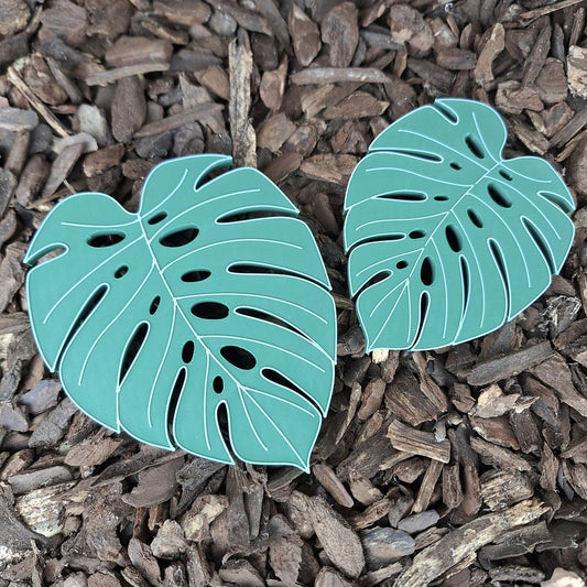 Monstera - Magnet-Set