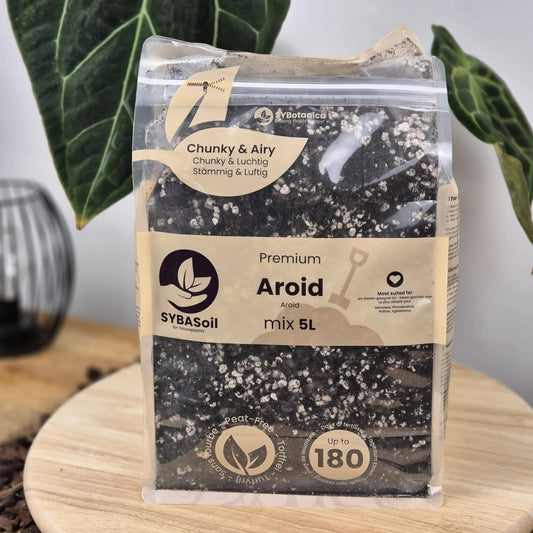 Aroid Mix