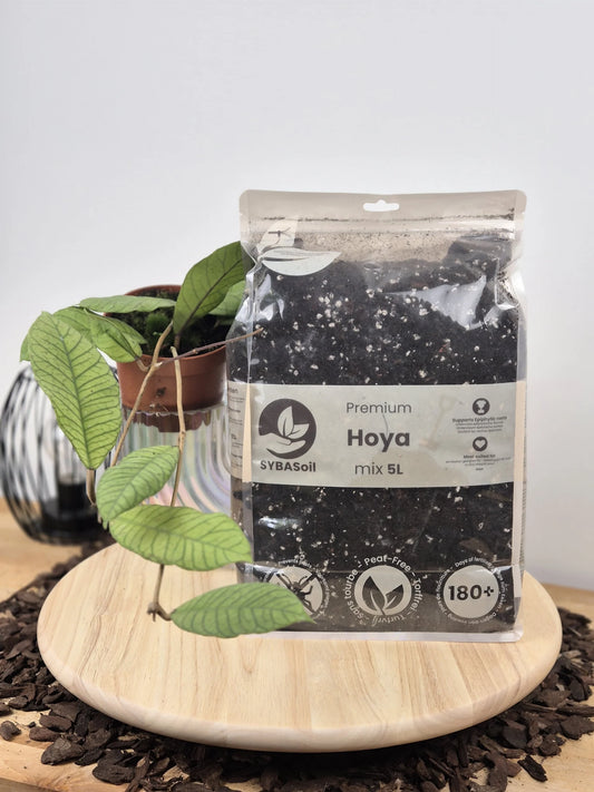 Hoya Mix