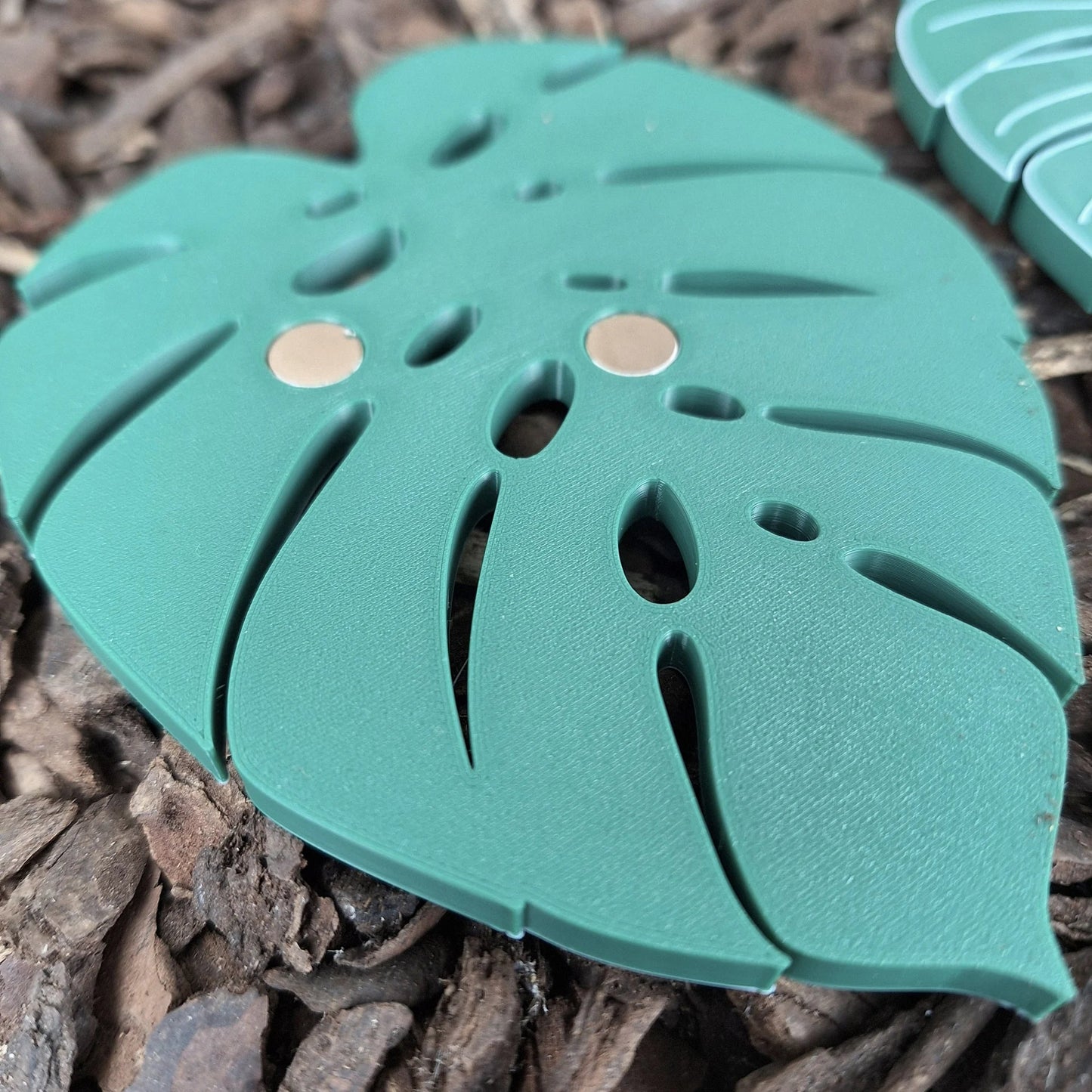 Monstera - Magnet-Set