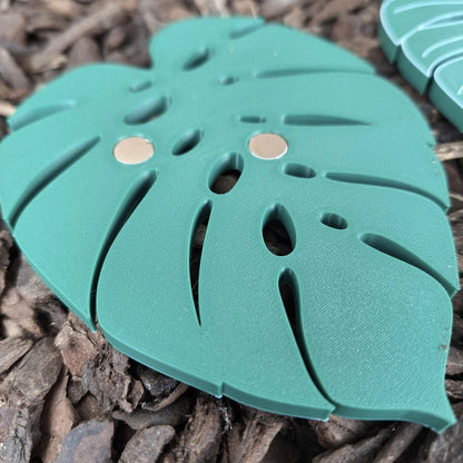 Monstera - Magnet-Set
