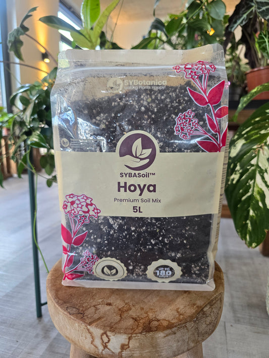 Hoya Mix