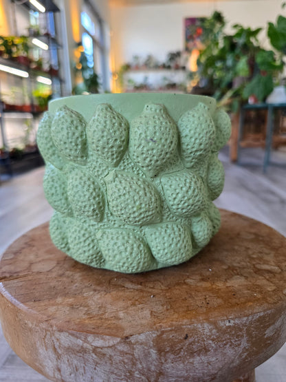 Kolibri Home Pot Lime