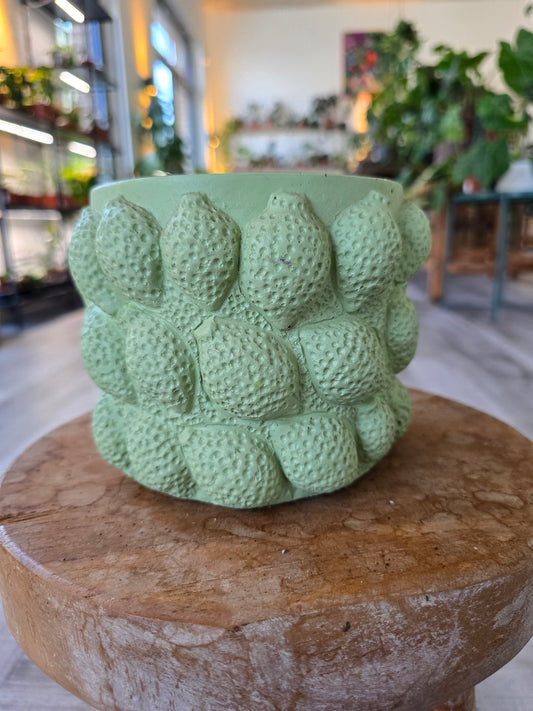 Kolibri Home Topf Limette