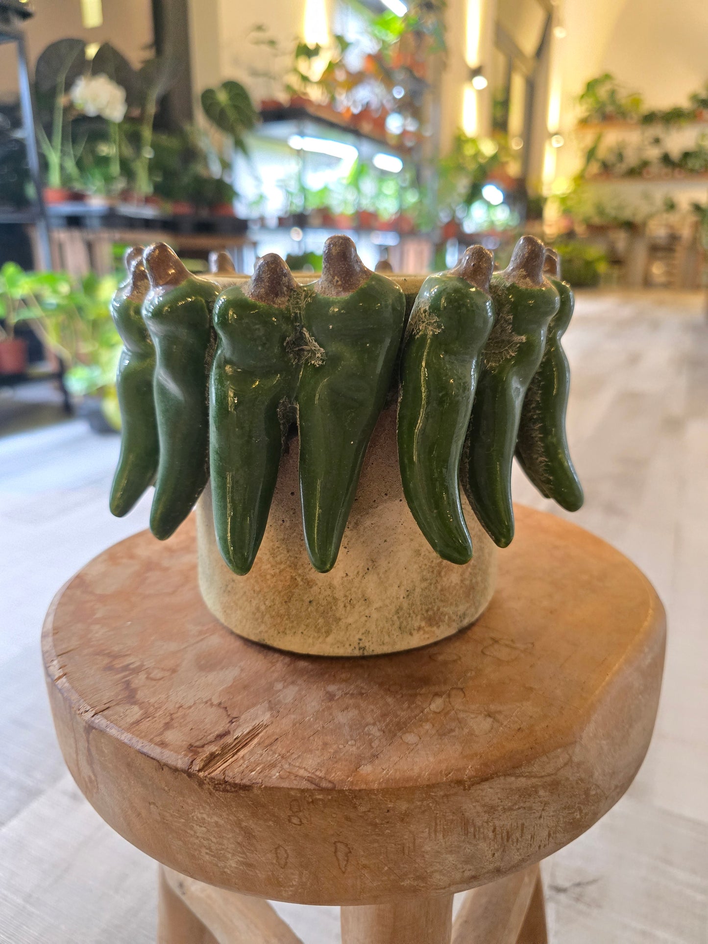 Übertopf Green Pepper