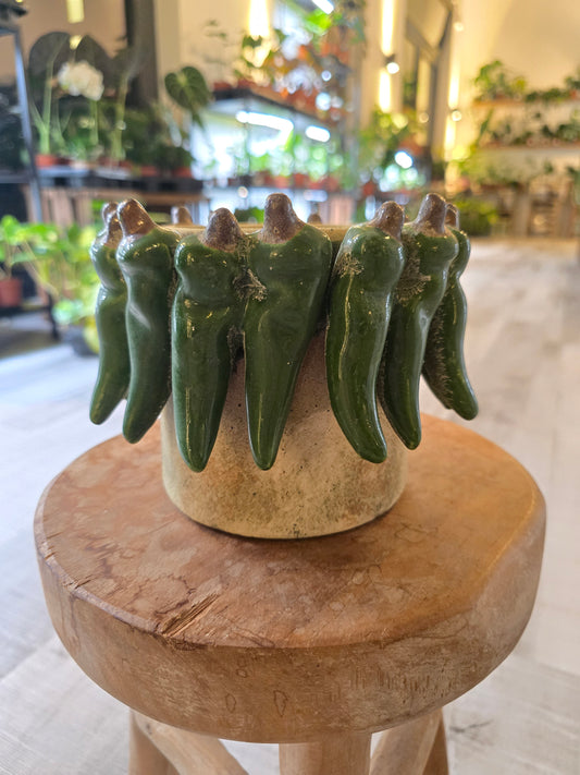 Übertopf Green Pepper