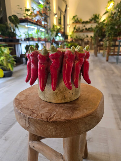 Übertopf Red Pepper