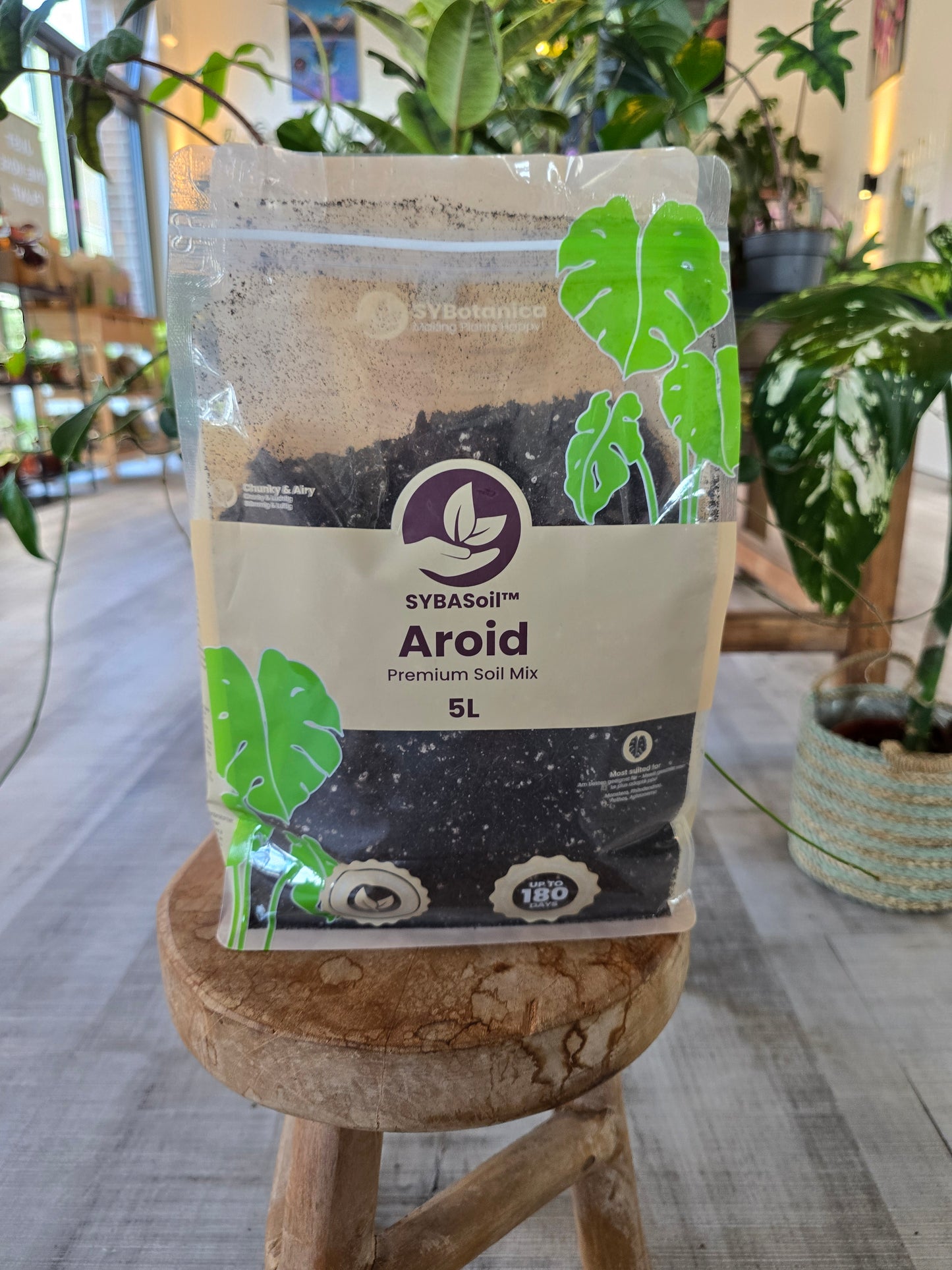 Aroid Mix