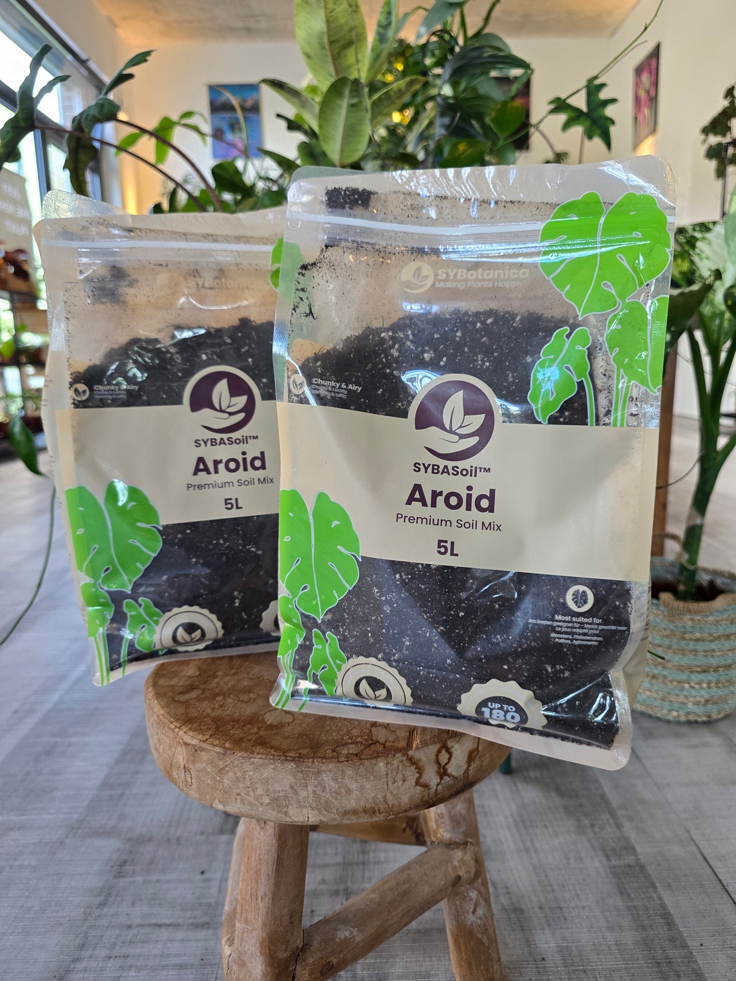 Aroid Mix