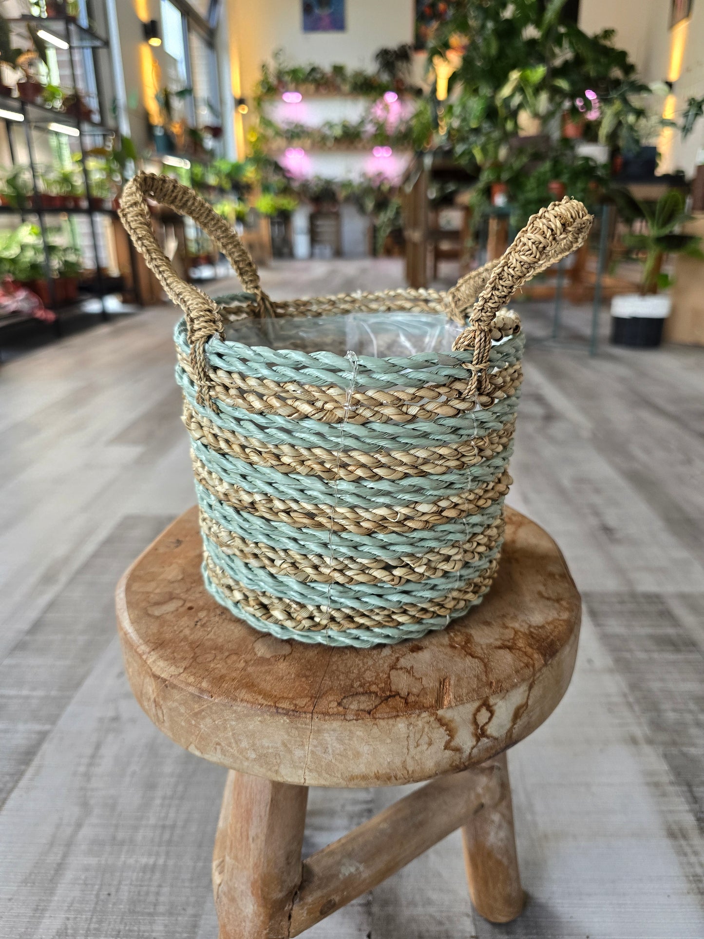 Pflanzkorb mint/beige