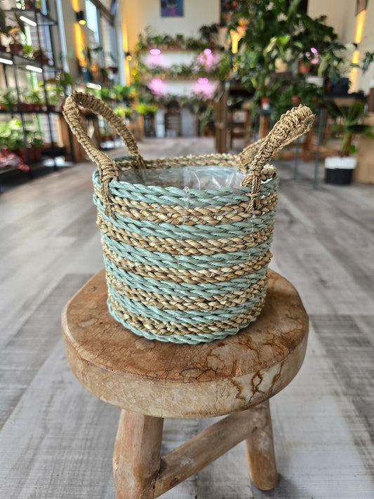 Pflanzkorb mint/beige