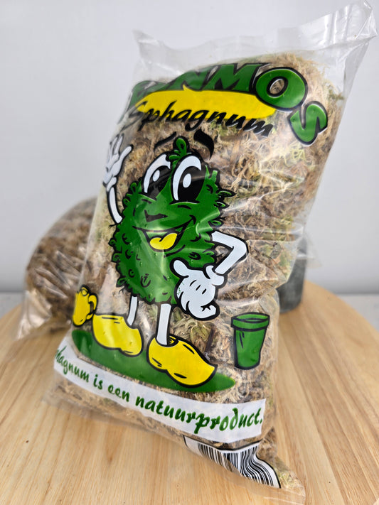 Veenmos Sphagnum